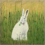 Hebble - The Oldham White Hare